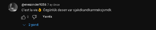 sil4.png