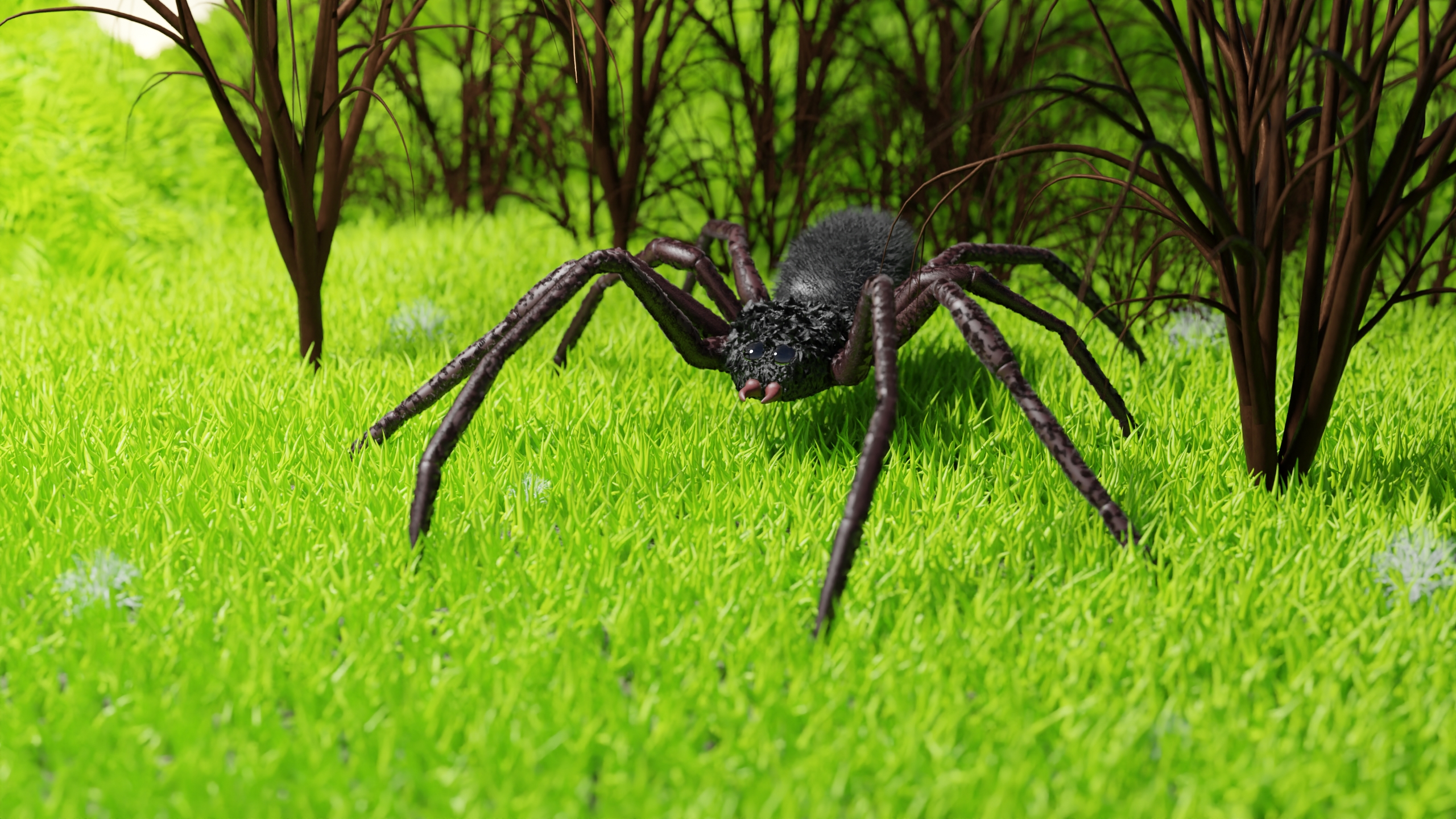 spider v2.jpg