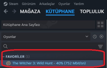 steam hız.jpg