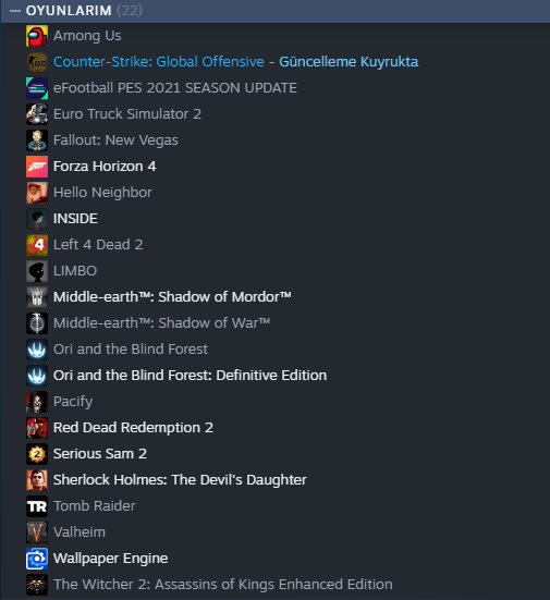 steam.PNG
