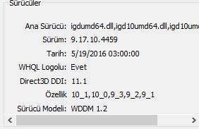 SÜRÜCÜ DXDİAG.png