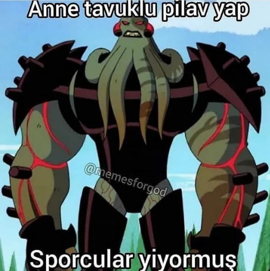 tavuklupilav.png