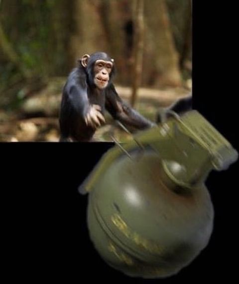 Think fast chuckle nuts(image0).JPG