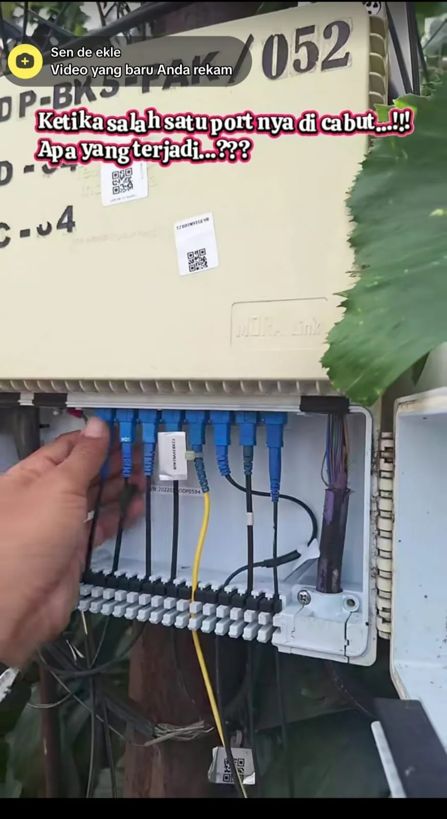 WhatsApp Görsel 2025-10-29 saat 03.31.01_17cce532.webp