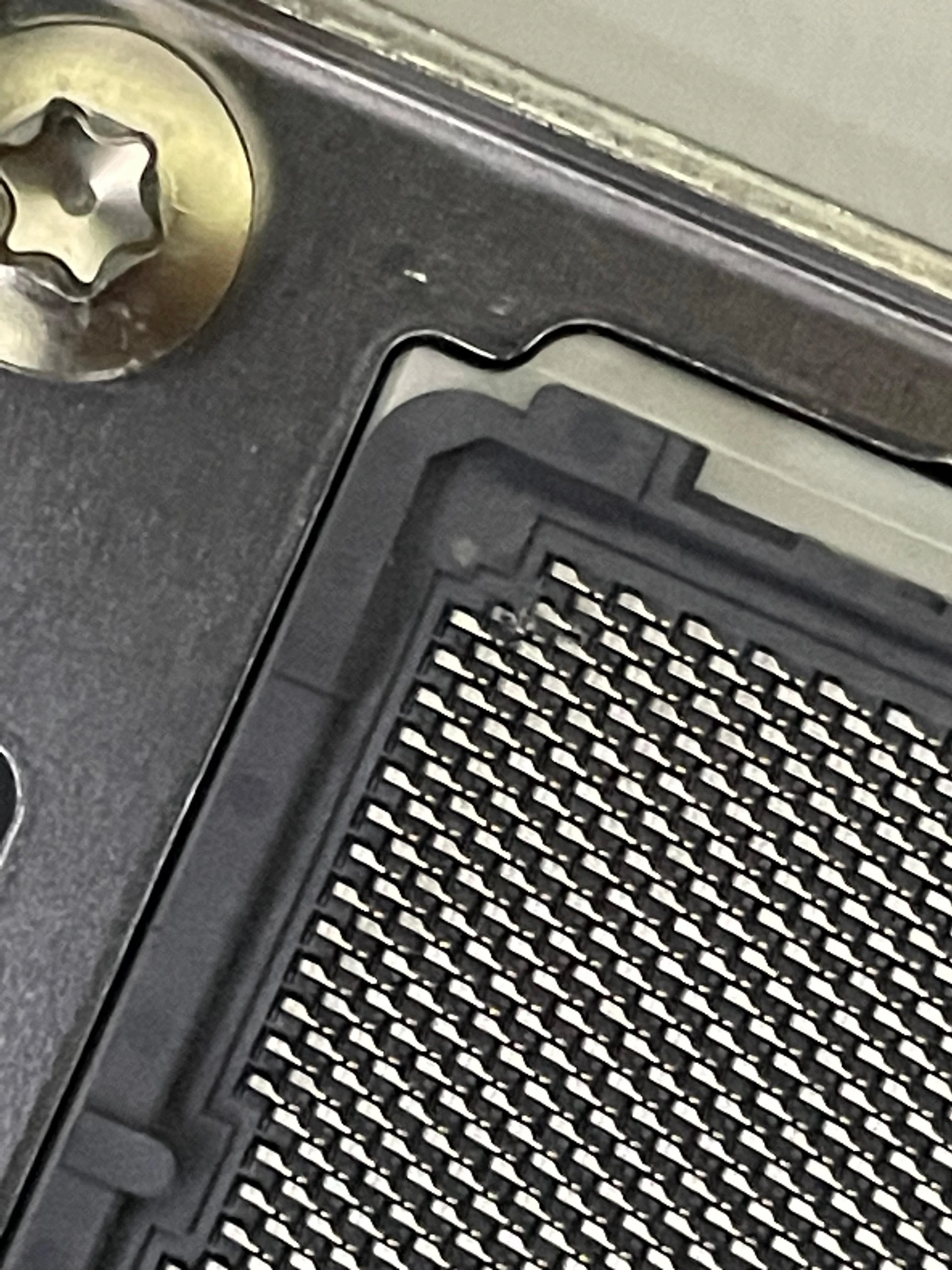 WhatsApp Image 2025-06-04 at 20.56.24.webp