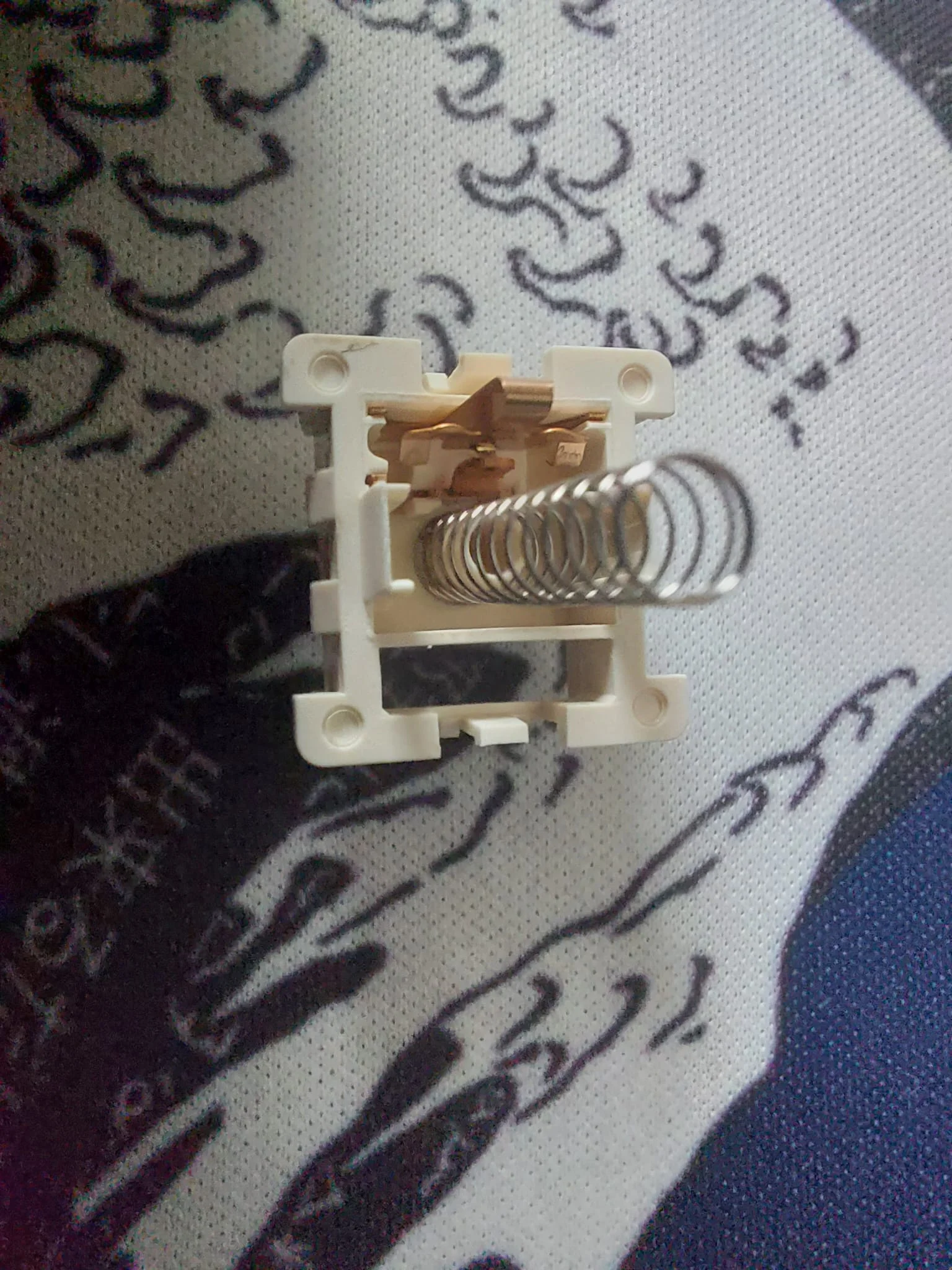 WhatsApp Image 2025-06-27 at 16.19.36.webp