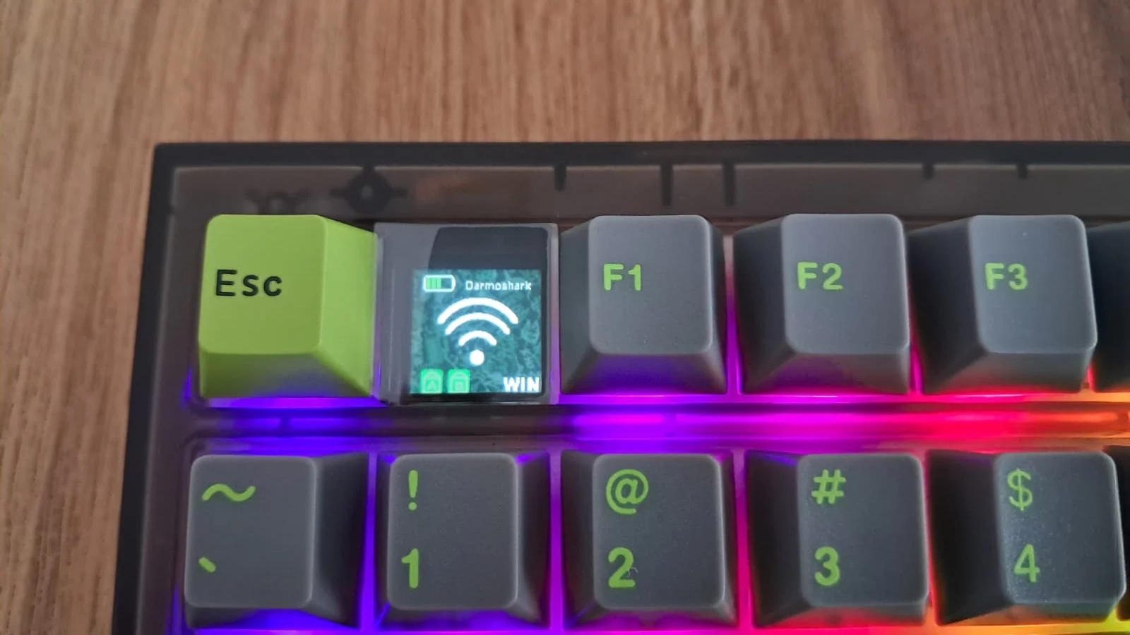 WhatsApp Image 2025-10-25 at 11.04.54.webp