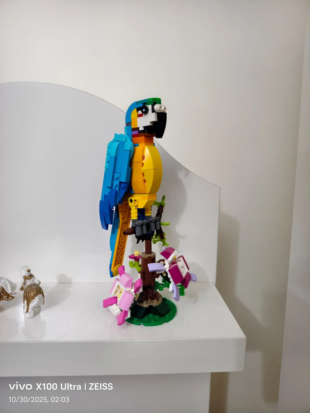 WhatsApp Image 2025-10-30 at 02.04.00.webp