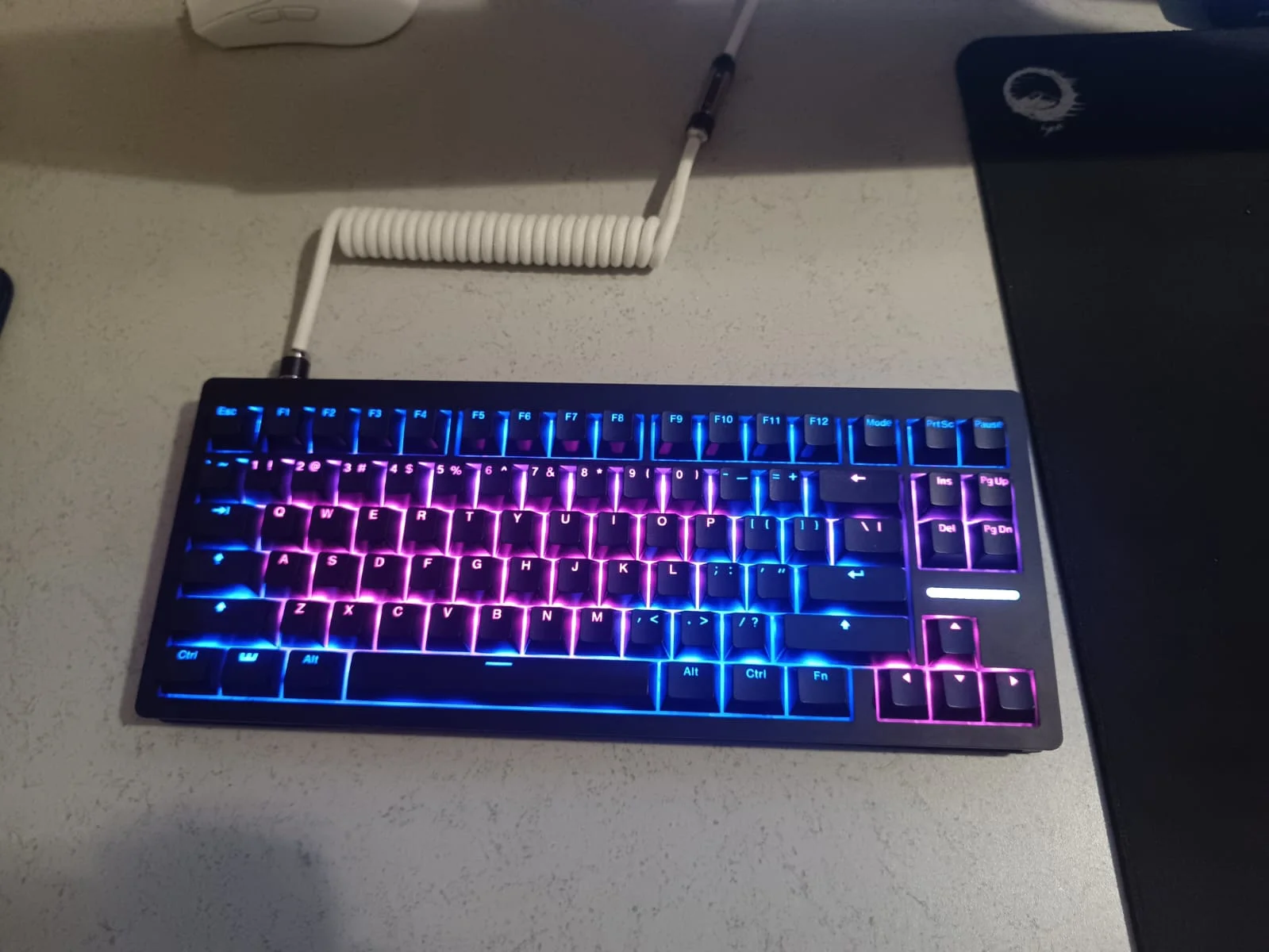 WhatsApp Image 2025-12-11 at 23.50.47.webp