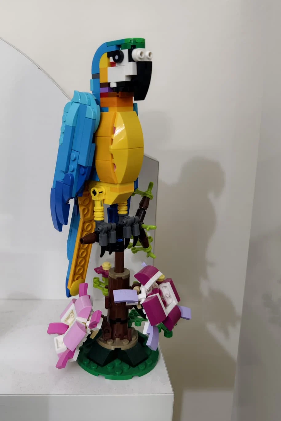 WhatsApp Image 2025-12-16 at 00.52.54 (2).webp