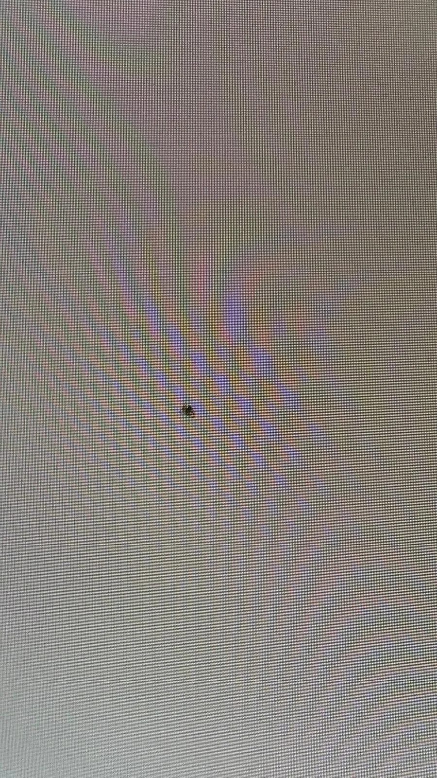 WhatsApp Image 2025-12-25 at 20.25.52.webp