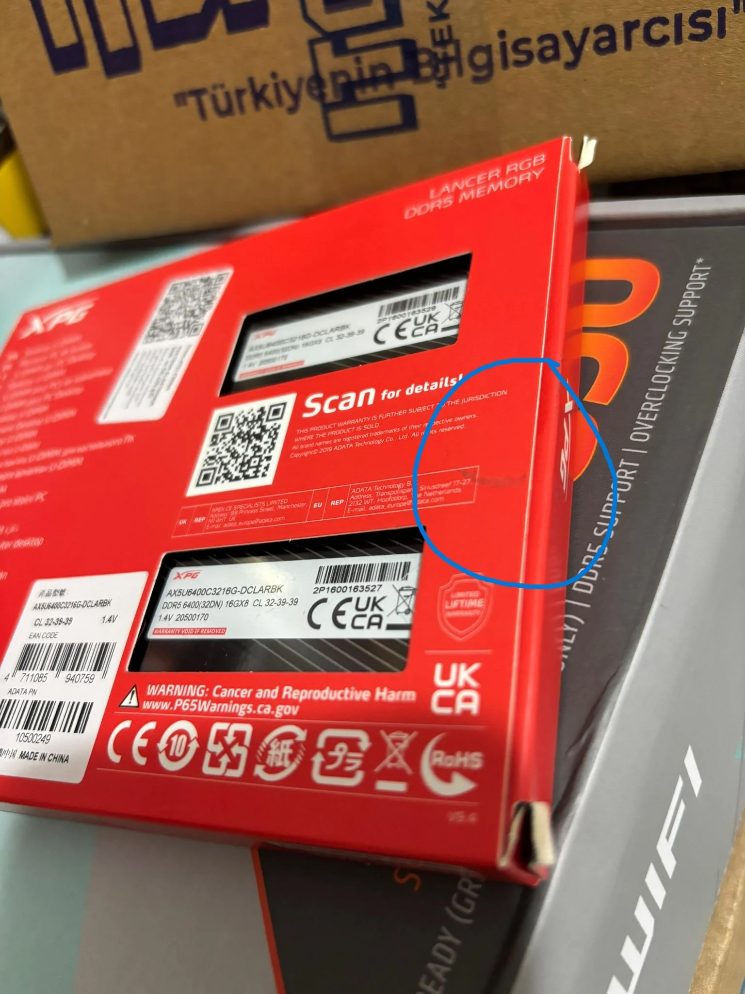 WhatsApp Image 2026-01-29 at 20.53.04.webp