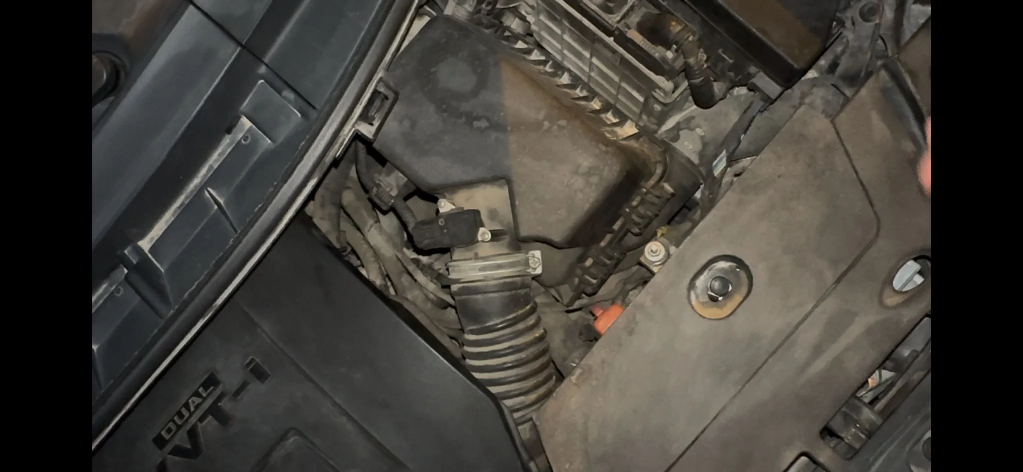 WhatsApp Image 2026-02-05 at 08.58.12.webp