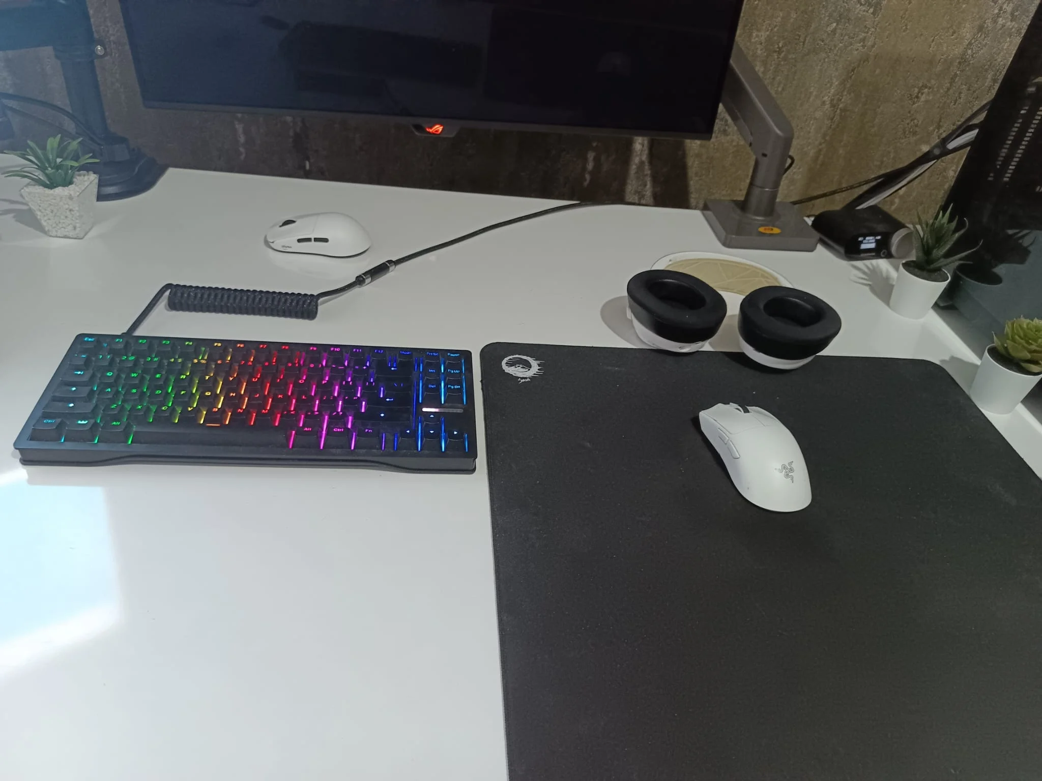 WhatsApp Image 2026-02-21 at 17.58.37.webp