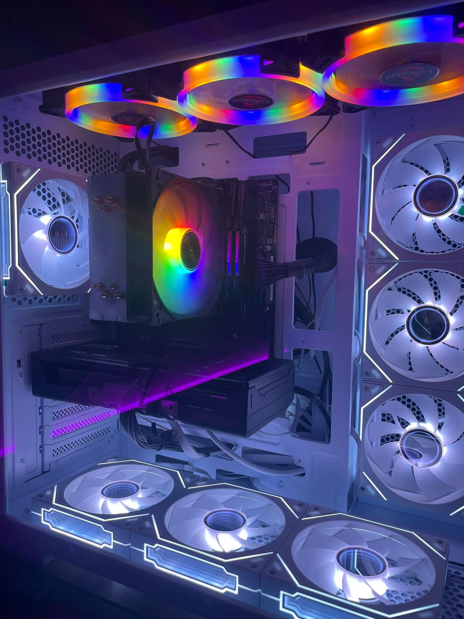 WhatsApp Image 2026-03-10 at 00.31.28.webp