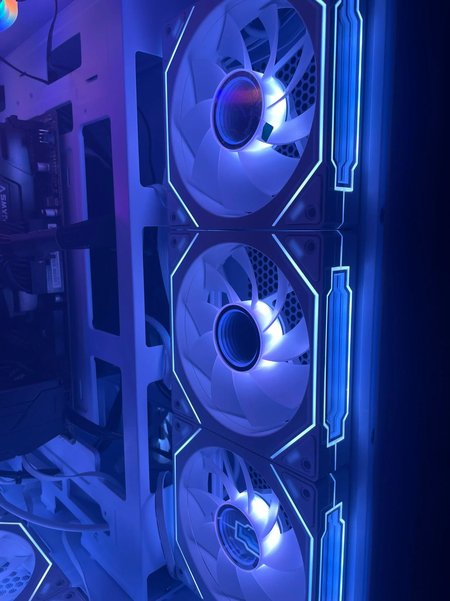 WhatsApp Image 2026-03-10 at 00.50.50.webp