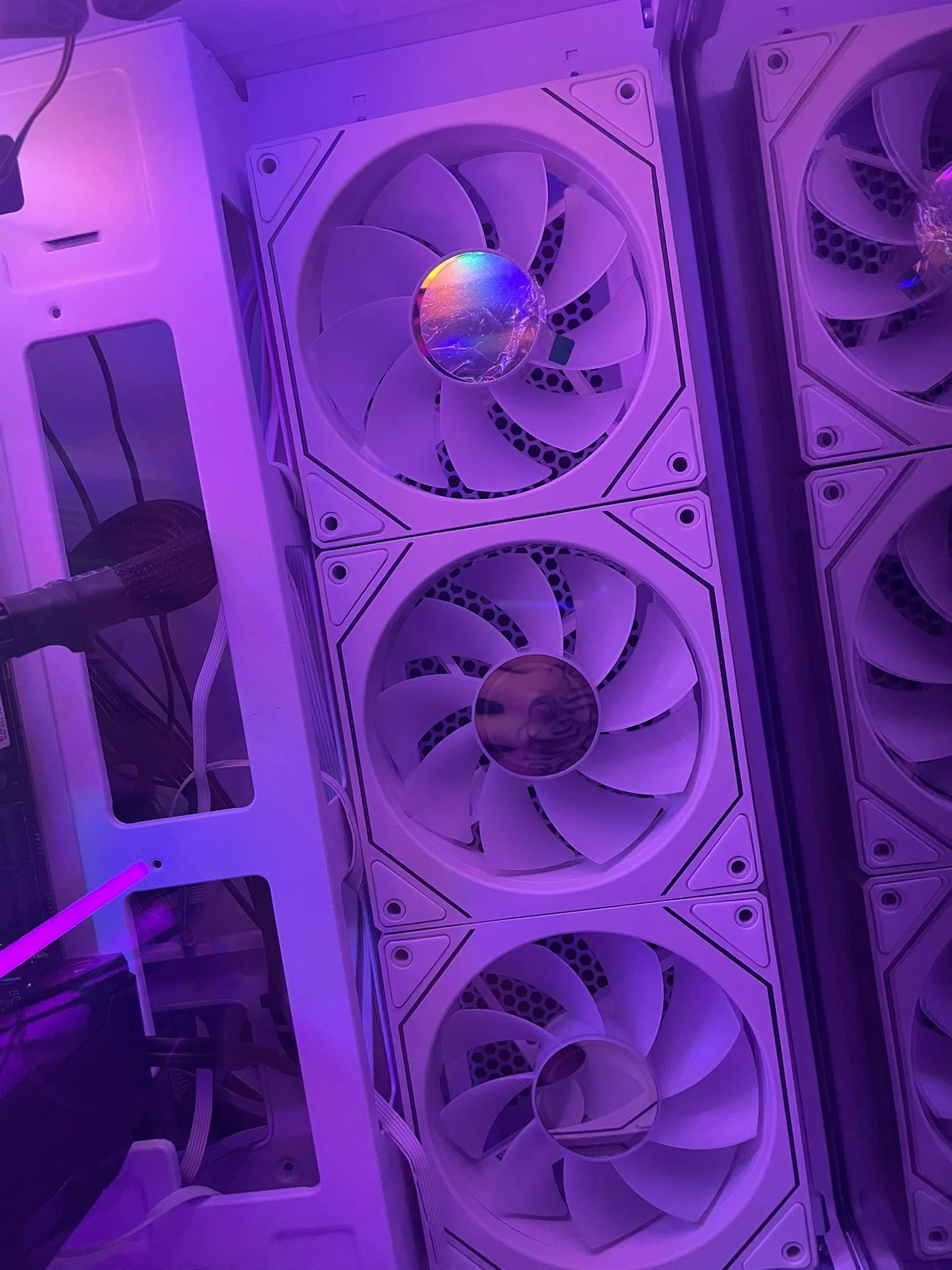 WhatsApp Image 2026-03-10 at 01.02.44.webp