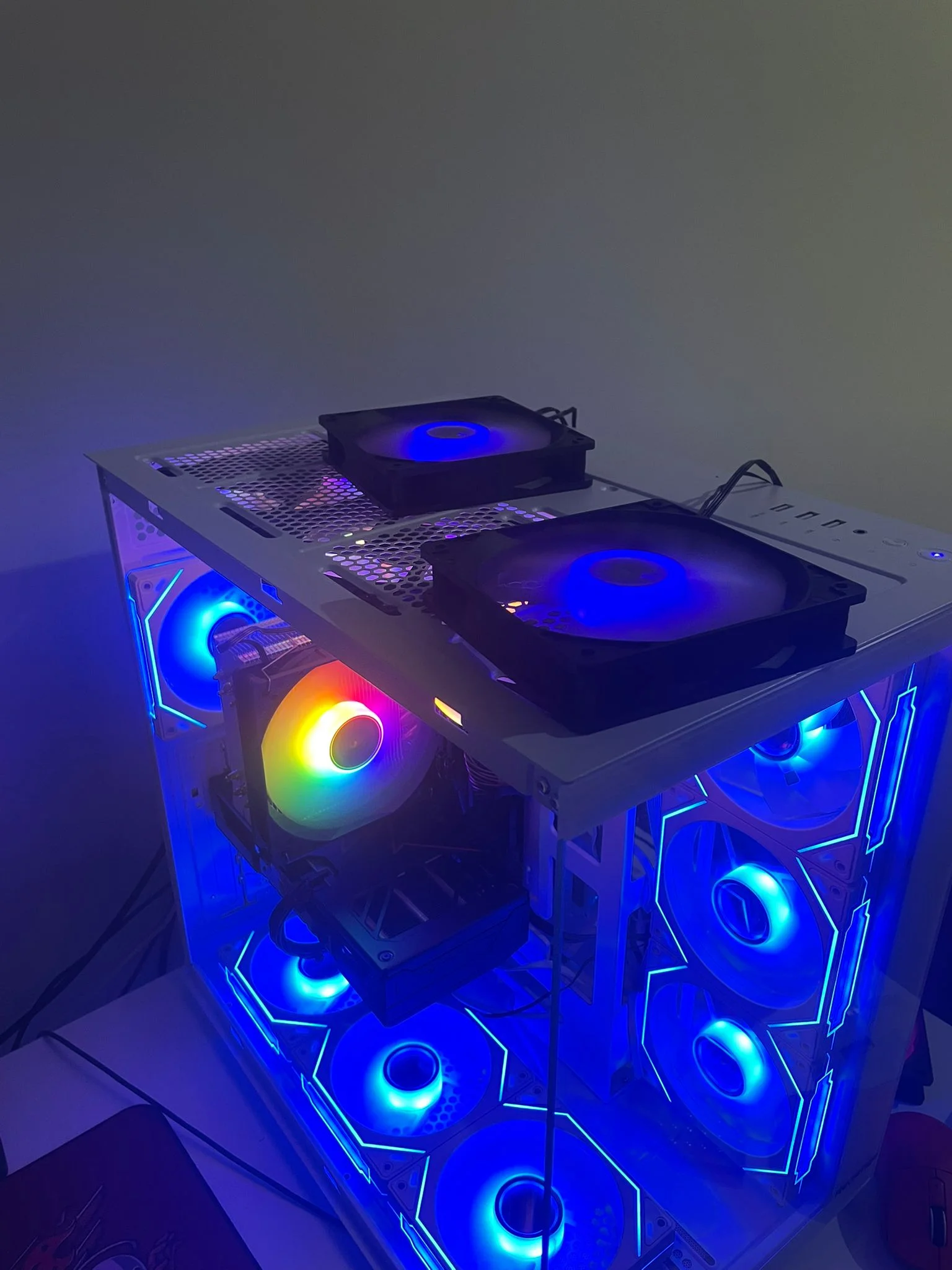 WhatsApp Image 2026-03-11 at 18.39.16.webp