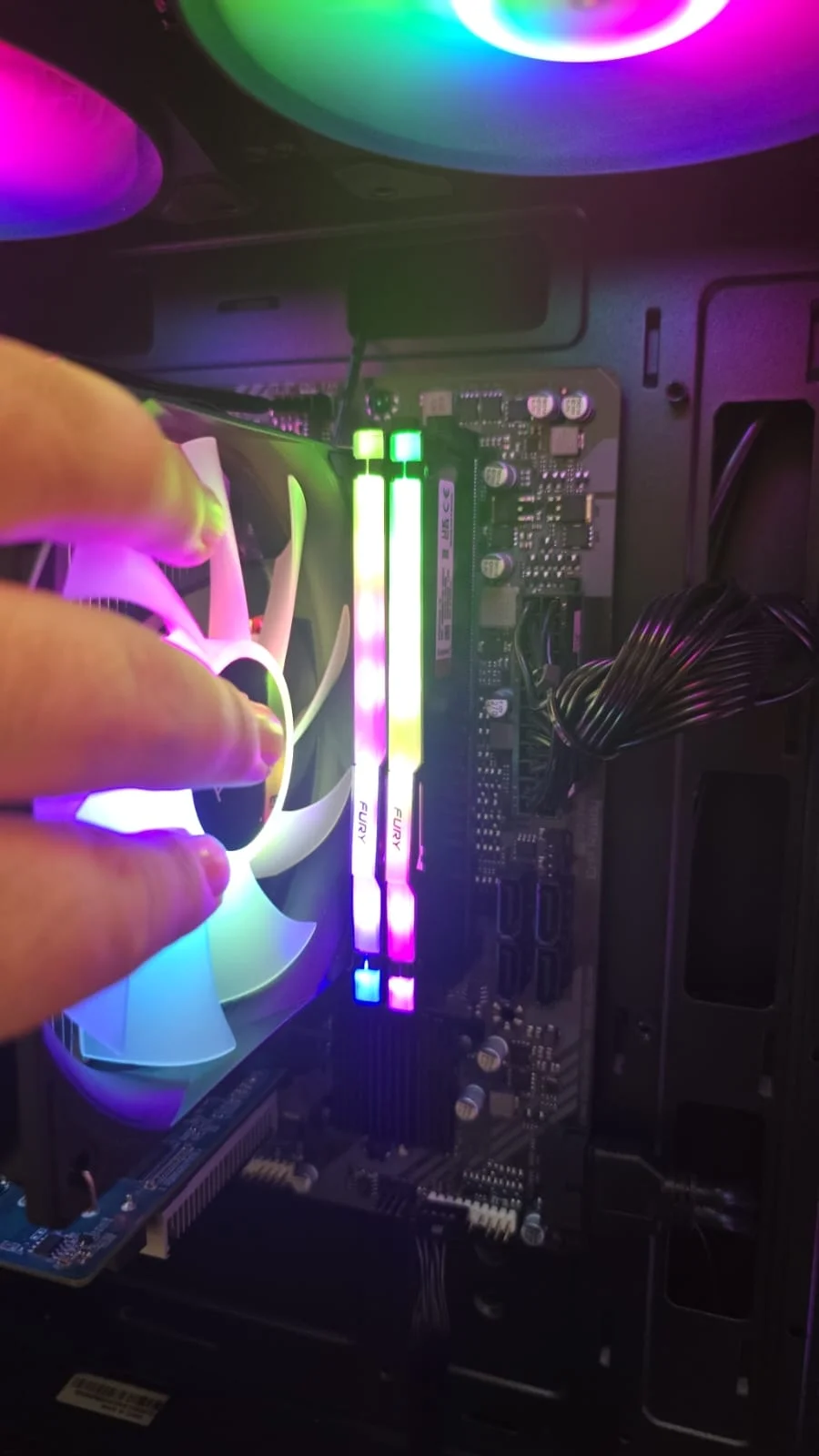 WhatsApp Image 2026-03-13 at 02.38.45.webp