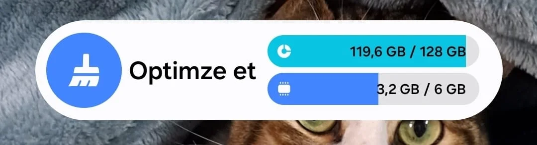 WhatsApp Image 2026-03-25 at 12.44.52.webp