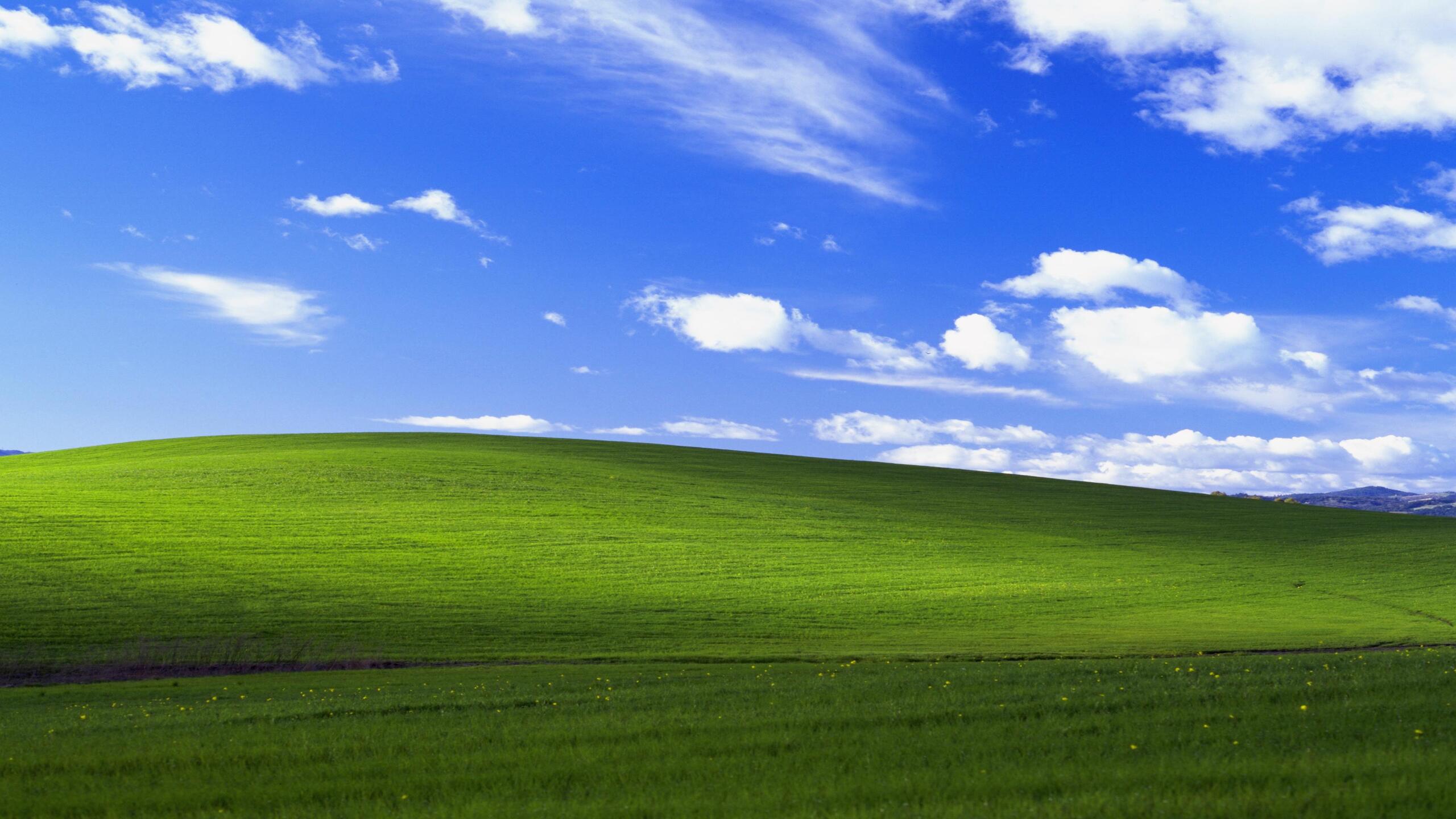 windowsxp.jpg