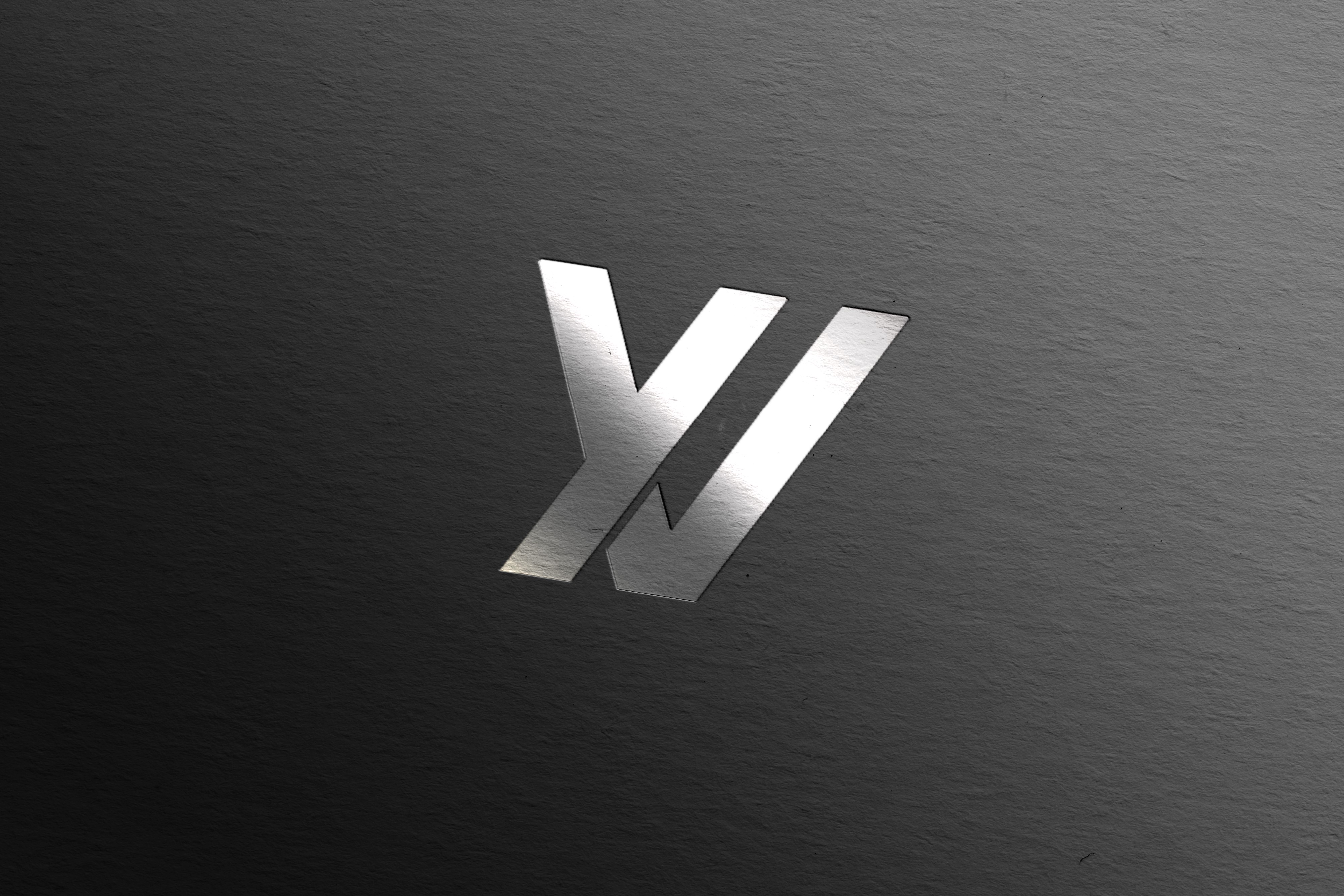 Y+V_Logo_Arex (4000 x 2667).jpg