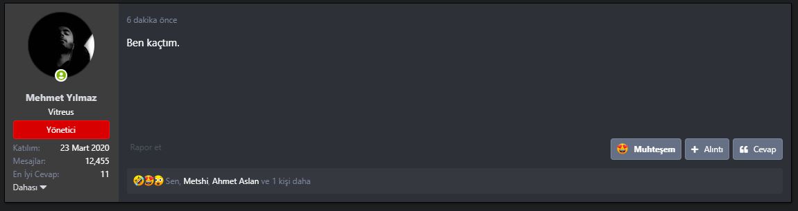 Yakalama3.JPG