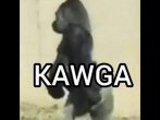 kawga.jpg