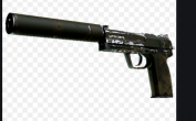 usp.png