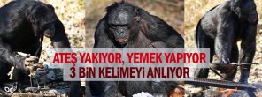 ates-yakiyor-yemek-yapiyor-3-bin-kelimeyi-anliyor-0309161200_m2.jpg