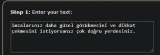 Ekran Alıntısı2.PNG