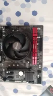 amd1.webp