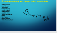 Ekran Alıntısı9.PNG