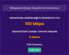 netspeed.PNG