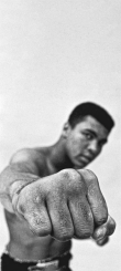 Muhammad Ali3.png