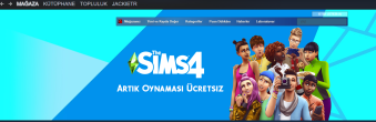 Sims.png