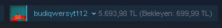 steam2.png