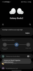 Screenshot_20230916_174859_Galaxy Buds2 Manager.jpg