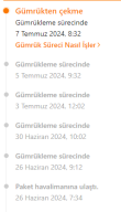 Ekran görüntüsü 2024-07-08 224615.png