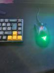 Razer deathadder v2 mini