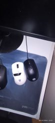 mouse 3.jpg