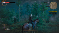 The Witcher 3 Screenshot 2024.10.22 - 22.20.06.83.png