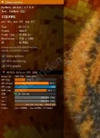 big_1244217023ctn.webp