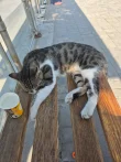 28286.webp