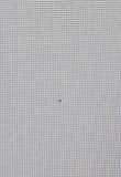 1000080311.webp
