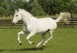 1757695917965.webp
