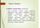 1758645765795.webp