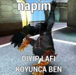 napim.PNG