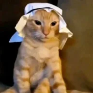 burakdincel77