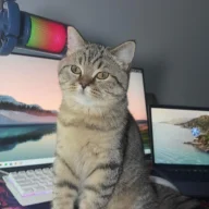 mesutgs